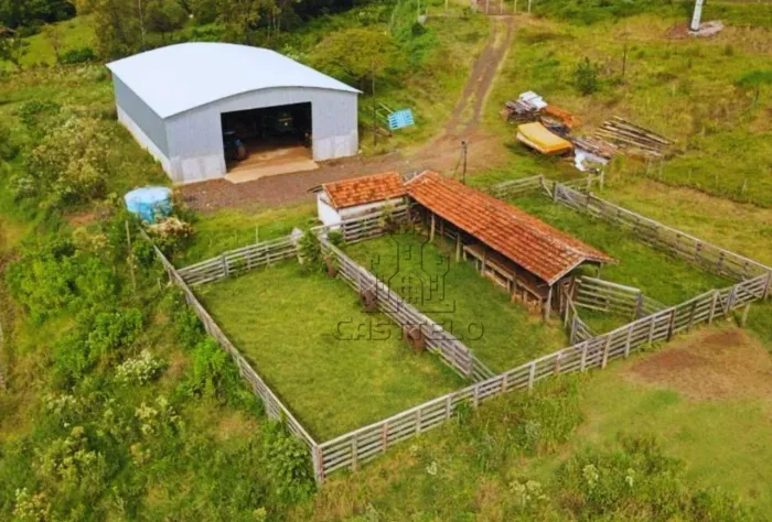 Sítio à venda por R$ 8.000.000 - Zona Rural - Assaí/PR