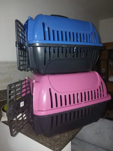 Casa transporte de pet