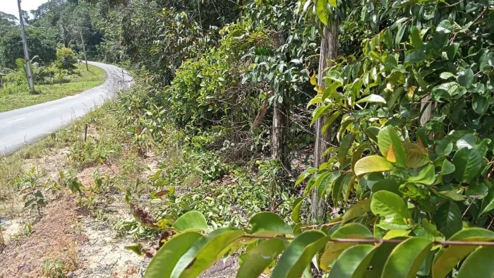 Terreno