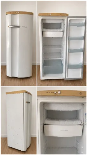 Geladeira Eletrolux RE29