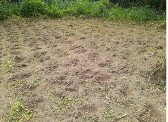 VENDO/TROCO 01 hectare na serra (Aratuba/CE).