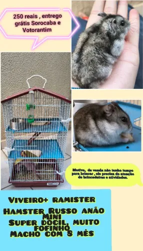 Gaiola ramister