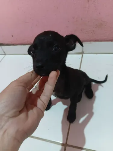 Doação responsável 