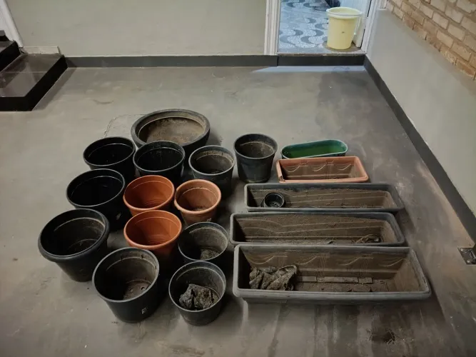 Conjunto de vasos de planta