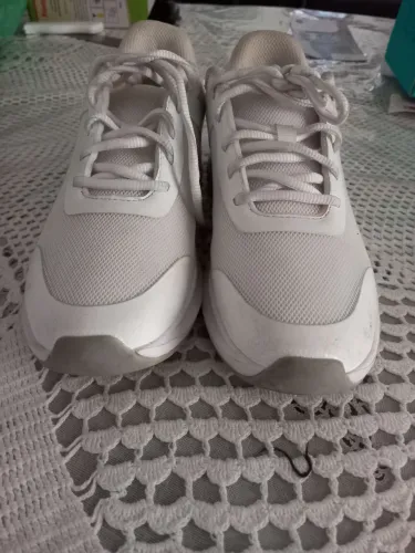 Tenis