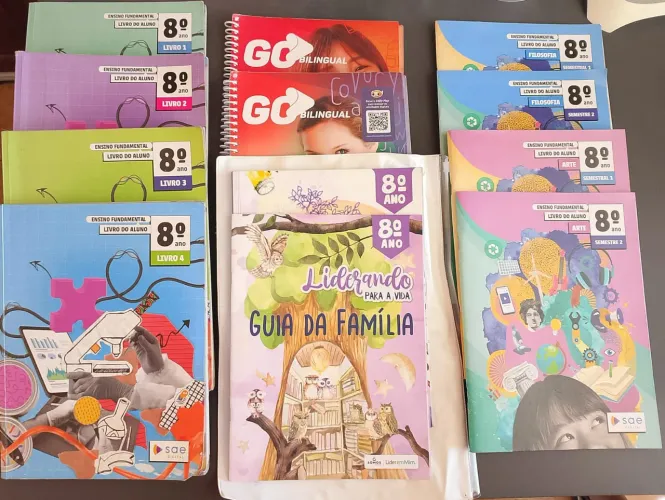 Livros do SAE do 8? ano completos <br>Em bom estado