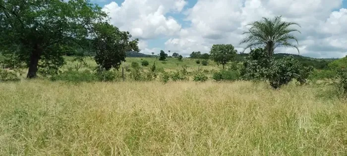 Fazenda produtiva, Boa Vista do Tupim, curral, 2 casas , poço, energia e água da embasa