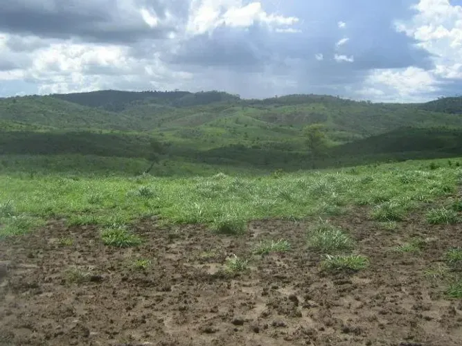 fazenda - Centro - Itapira