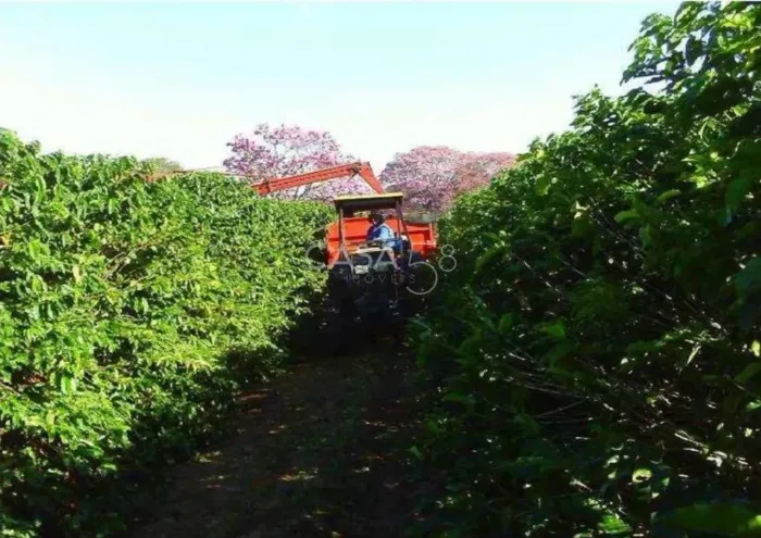Fazenda de Café à Venda em São Paulo Uma das Melhores do Brasil 900 Alqueires