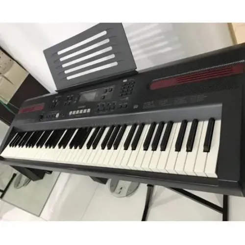 Teclado CASIO WK-110 
