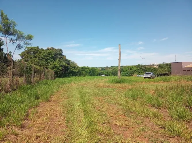 Chácara à venda, 4000 m² por R$ 700.000,00 - Brejo Alegre - São José do Rio Preto/SP