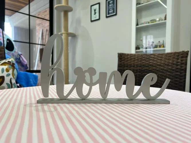 Decoração HOME Disney