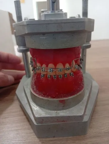 Vendo manequim odontológico (semi ajustável, em cera)