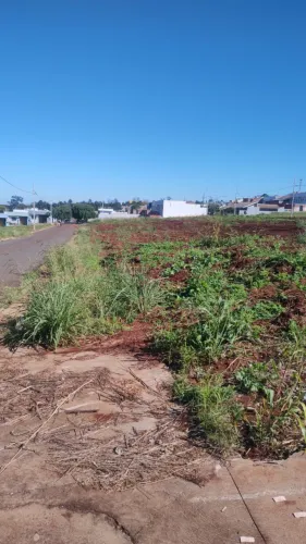 Terreno Comercial em Paiçandu