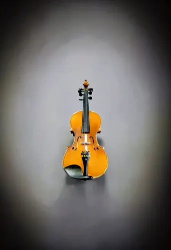 Violino 4/4 avançado ajustado por luthier