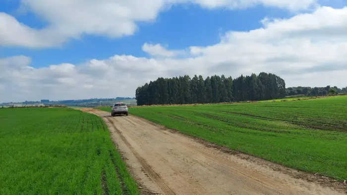 Porto Amazonas, 90 Alqueires, 217 Hectares, Plantando 70 Alqueires, à venda, Zona Rural, P