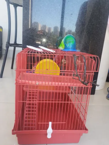 Vende-se uma gaiola de hamster r$ 100,00 reais   semi nova 