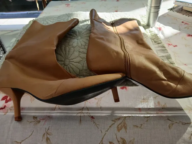 Bota