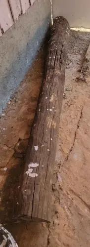 Aroeira