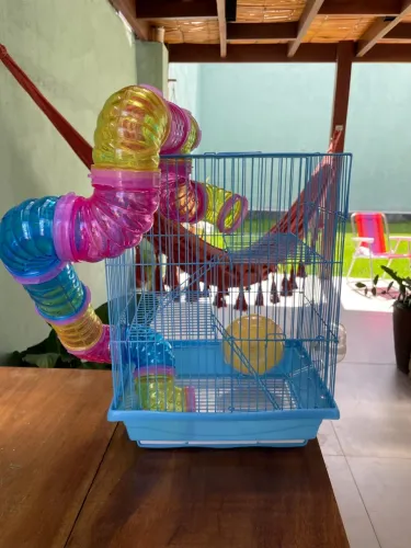Gaiola de Hamster