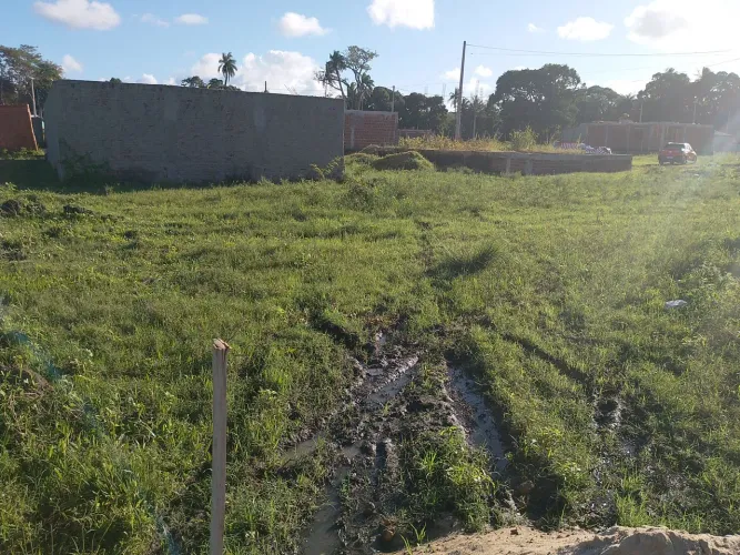 Terreno Porto de Galinhas