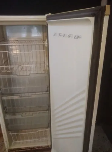 Freezer Brastemp clen 163 alt. 220v