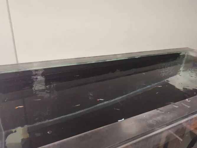 Aquario grande 300litros.