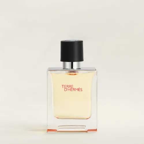 Perfume Terre D'Hermès Masculino - Eau de Toilette (Original)