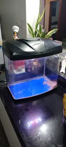 Aquário com luz