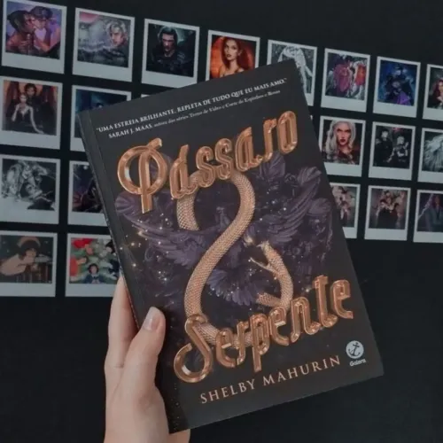 BOX PÁSSARO E SERPENTE