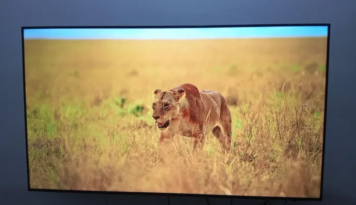 Smartv 4k 65 Samsung