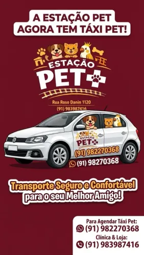 Táxi pet