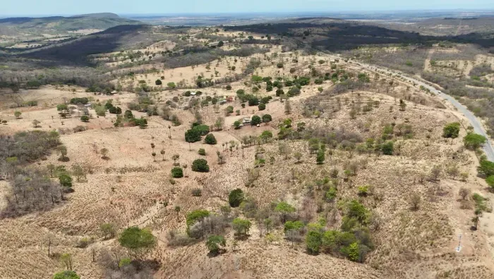 FAZENDA A VENDA EM POSSE/GO beira da rodovia