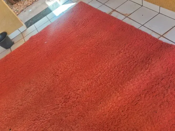 Vendo dois tapetes - cor pérola R$ 2.000,00 e cor laranja queimado R$ 2.100,00)