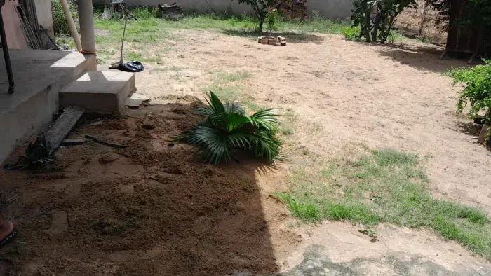 Limpamos quintal com rocadeira e também capinamos 