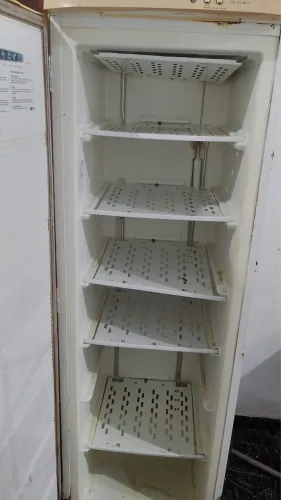 Vendo freezer vertical