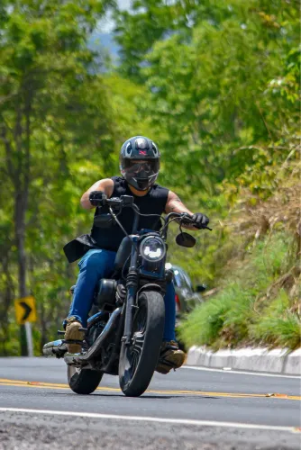 Harley Davidson Sportster Iron 883