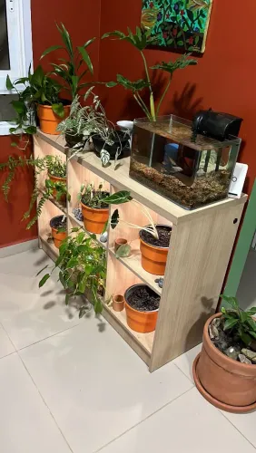Móvel planejado colmeia com luzes embutidas