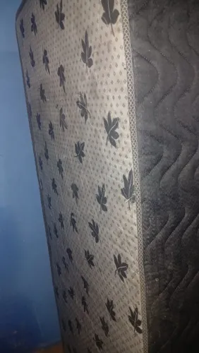 Cama