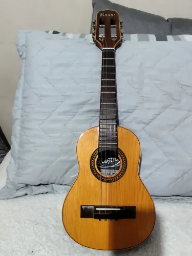 Rozini Paulistinha pronto pra tocar!