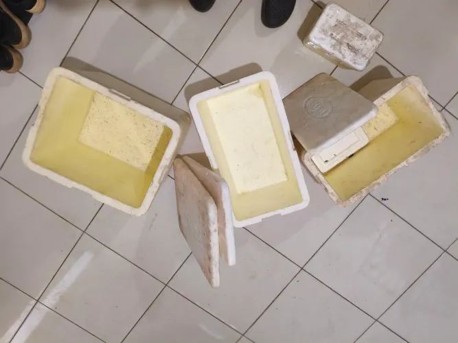 3 caixas de isopor