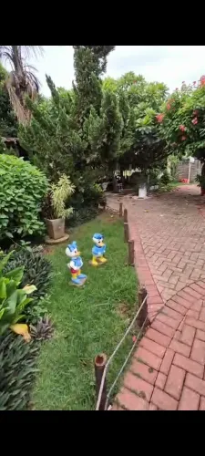 Sobrado no Vila São Luiz