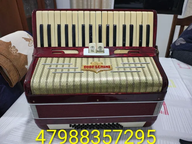 Acordeon Todeschini 48 baixos 