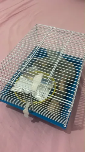 Gaiola de hamster