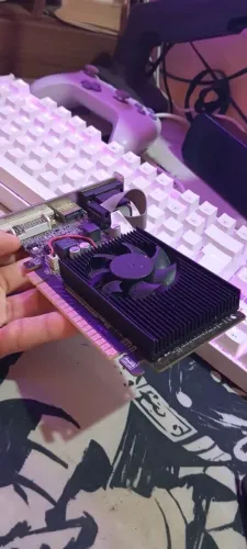 Placa de video Geforce Gt 210 "conservada"