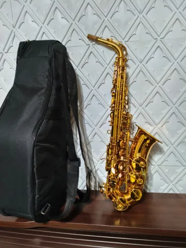 Saxofone Alto Mib Michael Dourado Wasm35 Novíssimo Completo