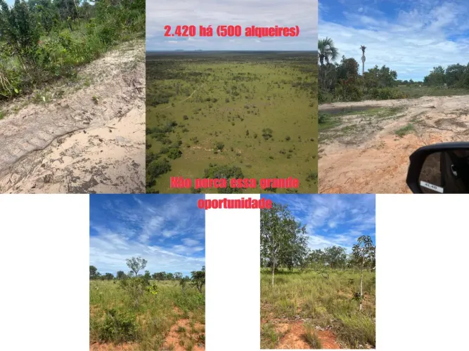 Fazenda para Venda em São Félix do Tocantins, Região produtora em expansão
