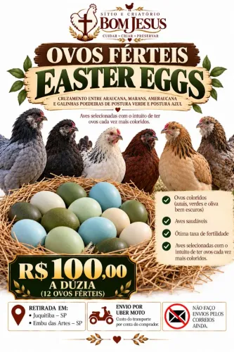 Ovos ferteis de Easter eggs