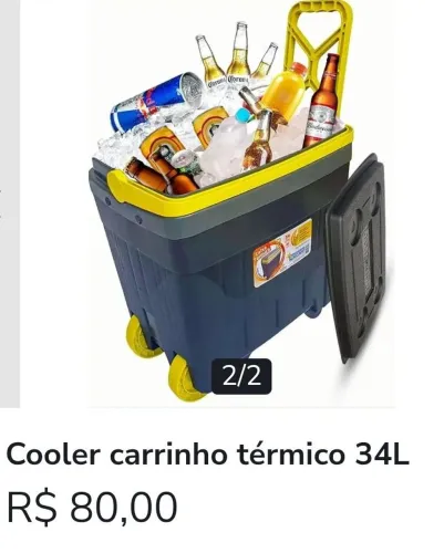 Cooler térmico ou caixa térmica 