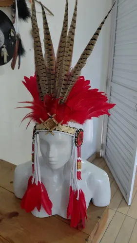 Cocar indigena